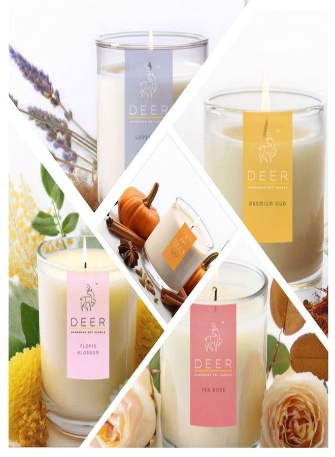 دير شمعة معطرة برائحة قهوة محمصة من دير - هدية خاصة لعيد الميلاد ورأس السنة الجديدة، مصنوعة من شمع الصويا الطبيعي، برائحة قهوة غنية، تدوم 40 ساعة، هدية مثالية للمنزل والمكتب (200 مل) - Image 5